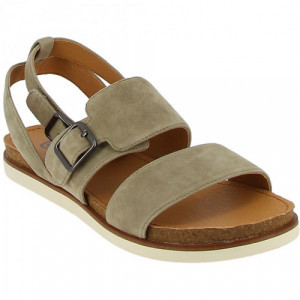 Taupe Taupe