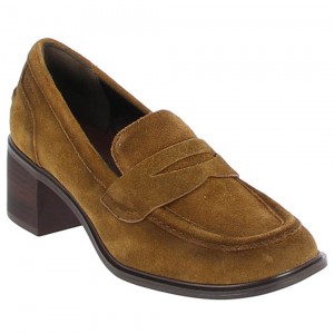 24455