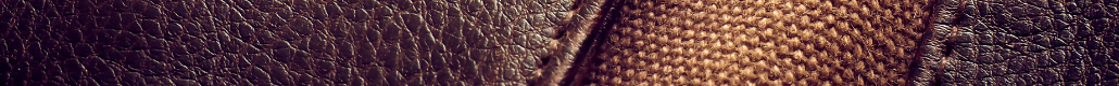 Sans titre (1).png